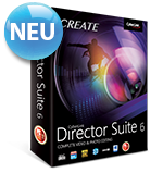 Director Suite 6